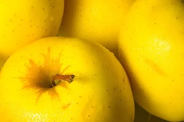 Apples