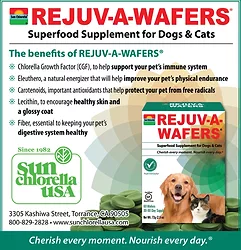 Sunchlorella 14