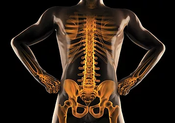 Bone 10