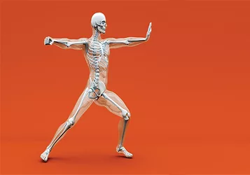 Bone 9