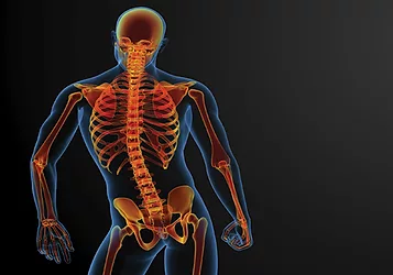 Bone health 3