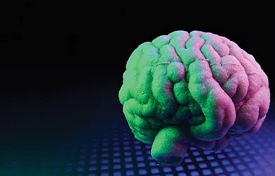 Brain foods 3