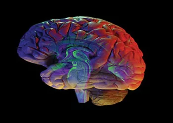 Brainhealth 3