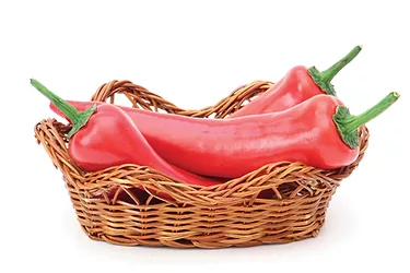 Chilli peppers 1