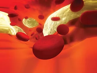 Cholesterol 3