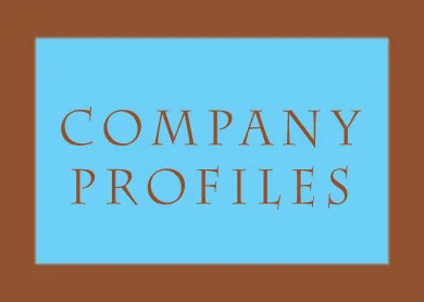 Company profiles 412