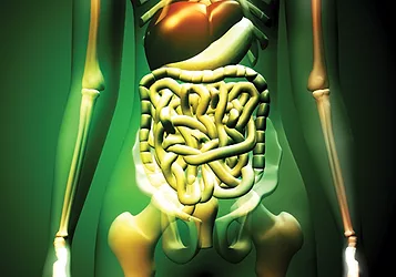 Digestion 21