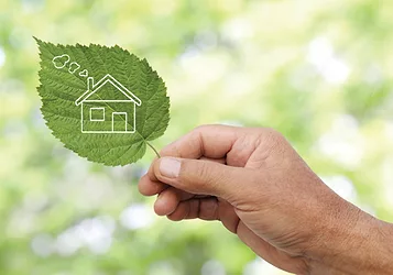 Ecofriendly 11