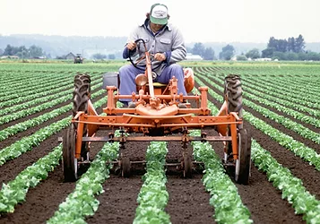 Farm bill 3
