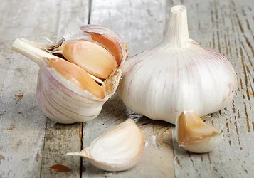 Garlic 3