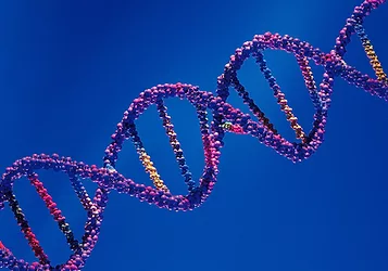 Genome news 3