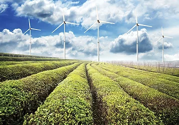 Green news 69