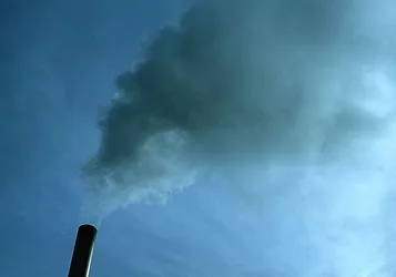 Green news 70