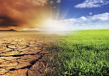Green news 71
