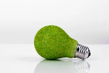 Greenamerica 3