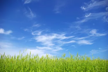 Greensfeature 1
