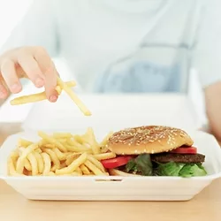 Junkfood 1