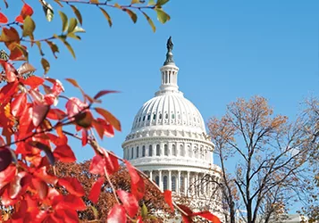 Lobbying 3