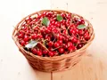 News organic 1