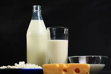 News dairy 3