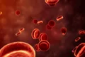 News blood teaser 1