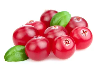 Supplier cranberries 3