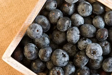 Supplier blueberry 3