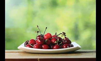 Tart cherry 2