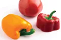 Usda cites 1