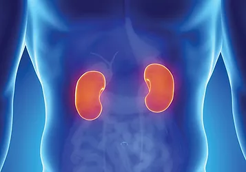Urology 7