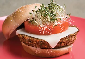 Vegan 7