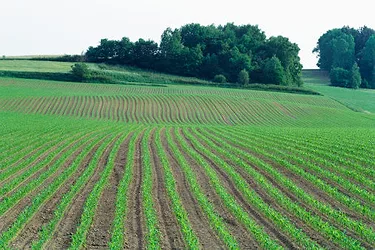 Agriculture 3 e1518801555855