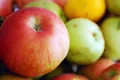 Apples 03 tn 1