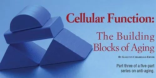 Building blocks lg 1