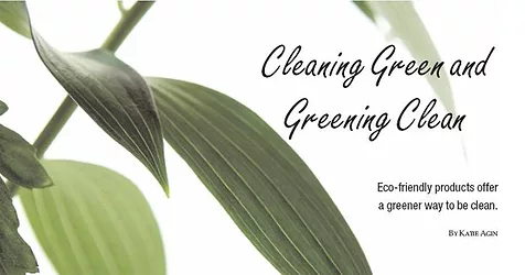 Cleaning green large 1