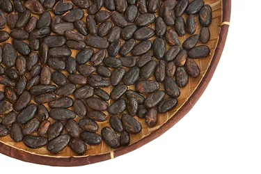 Cocoa 7