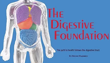 Digestive foundation lg 1