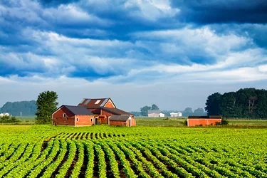 Farm 1