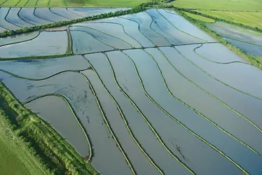 Flood 3