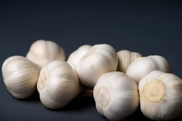 Garlicstress 3