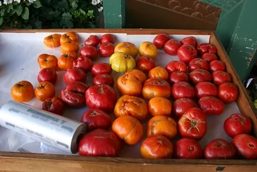 Grocerydelivery 1