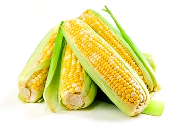 Hfcscornsugar 3