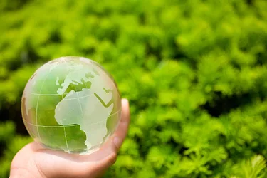 Maygreenbrief 1