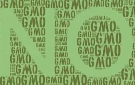 Oregongmo 1 1