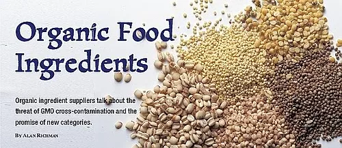 Organic food large 1