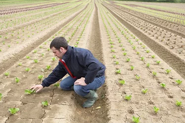 Organicfarming 3