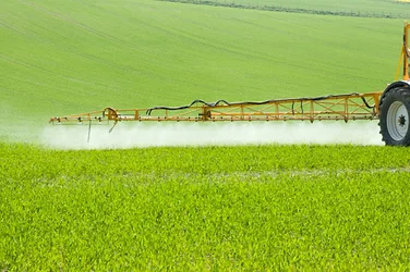 Pesticide 3