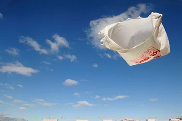 Plasticbag 3