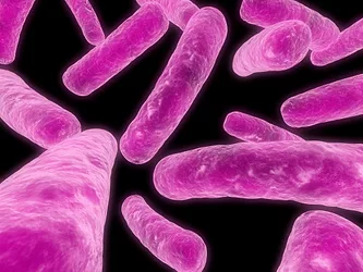 Probioticstability 3