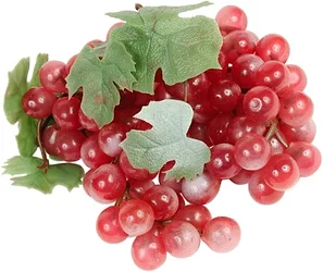 Resveratrol 5